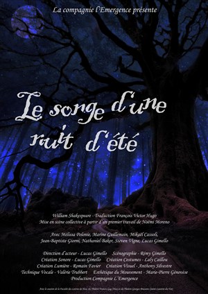 Affiche de Le songe d'une nuit d'été