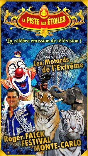 Affiche de Cirque La piste aux étoiles | - Alès
