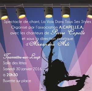 Affiche de La voix dans tous ses styles