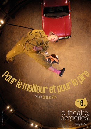 Affiche de Pour le meilleur et pour le pire