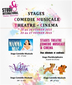 Affiche de Stage théâtre, comédie musicale, Cinéma