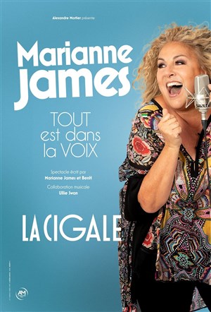 Affiche de Marianne James dans Tout est dans la voix