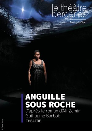Affiche de Anguille sous roche