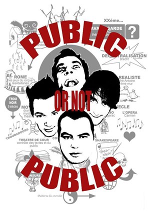 Affiche de Public or not Public