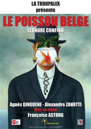 Affiche de Le poisson belge