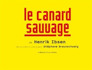 Affiche de Le Canard sauvage