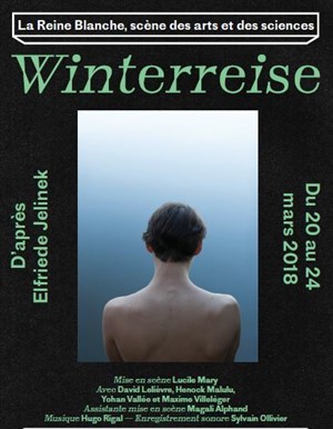 Affiche de Winterreise
