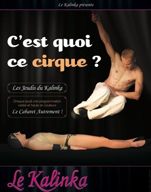 Affiche de C'est quoi ce cirque ?