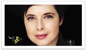 Affiche de Bestiaire d'Amour | Isabella Rossellini