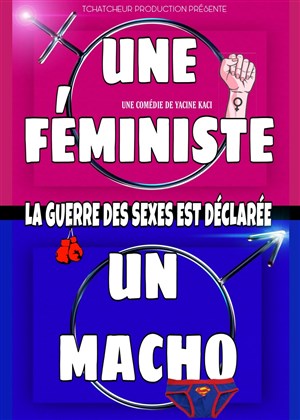 Affiche de Une féministe, un macho : la guerre est déclarée