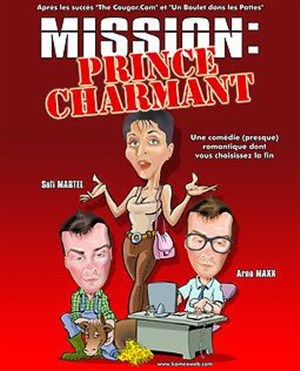 Affiche de Mission prince charmant