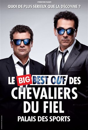 Affiche de Les Chevaliers du Fiel dans Le Big Best ouf