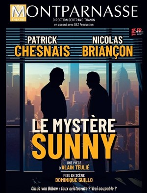 Affiche de Le mystère Sunny | avec Patrick Chesnais