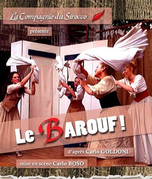 Affiche de Le Barouf !