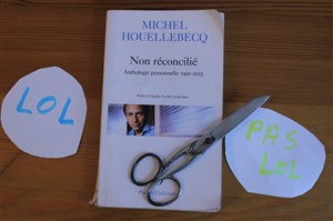 Affiche de Lecture / performance Non réconcilié