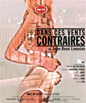 Affiche de Dans ces vents contraires