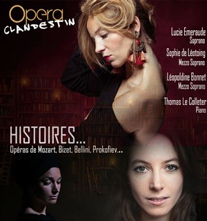Affiche de Histoires...