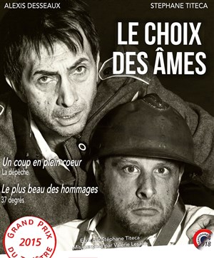 Affiche de Le choix des âmes
