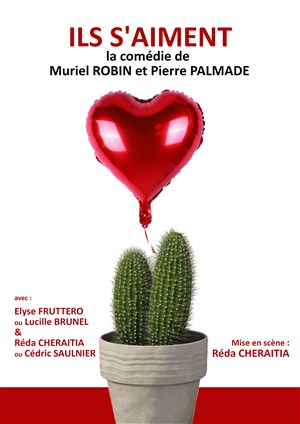 Affiche de Ils s'aiment