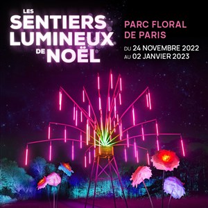 Affiche de Les sentiers lumineux de Noël