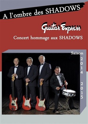 Affiche de A l'ombre des Shadows