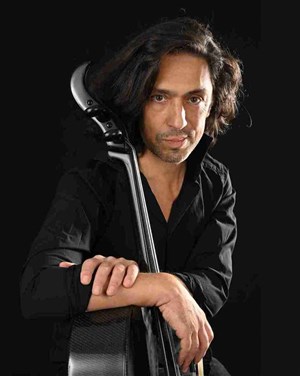 Affiche de Les chansons du violoncelle vagabond