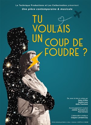 Affiche de Tu voulais un coup de foudre