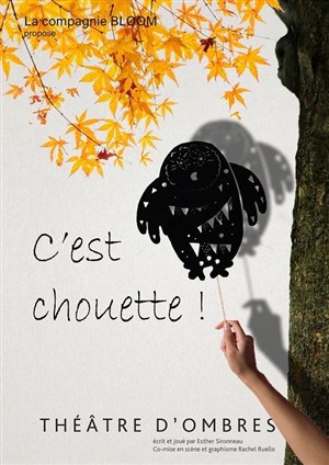 Affiche de C'est Chouette !