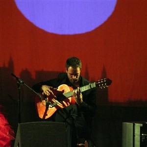 Affiche de Raiz flamenca