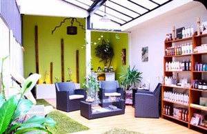 Affiche de Détente shiatsu aux pierres de jade , puis massage Amma du corps 65 mn