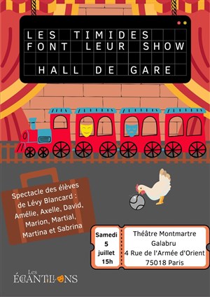 Affiche de Les timides font leur show : Hall de Gare