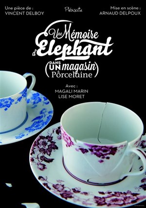 Affiche de Une mémoire d'éléphant (dans un magasin de porcelaine)