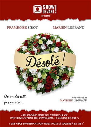 Affiche de Désolé !