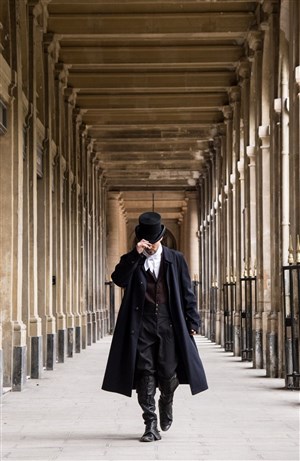 Affiche de Les Visites-Enquêtes : L'Enquête du Palais Royal