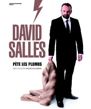 Affiche de David Salles dans David Salles pète les plombs | mis en scène par Bruno Salomone