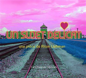 Affiche de Un sujet délicat