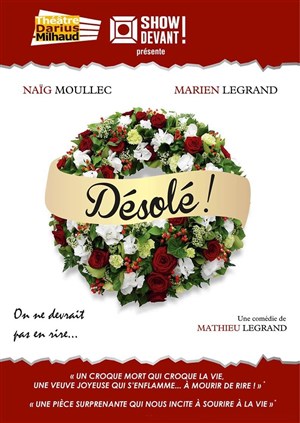 Affiche de Désolé !