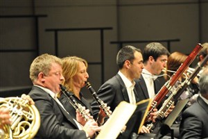 Affiche de Le Carnaval des Animaux