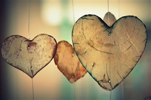 Affiche de Le symbolisme du corps humain centré sur le coeur