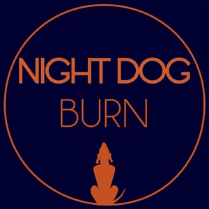 Affiche de Night dog