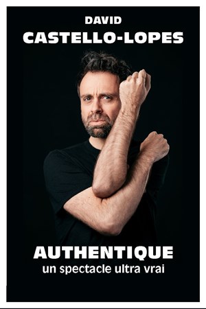Affiche de David Castello-Lopes dans Authentique