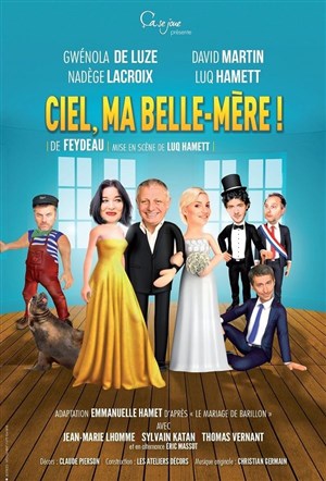 Affiche de Ciel, ma belle mère !