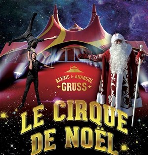 Affiche de Cirque de Noël 2018