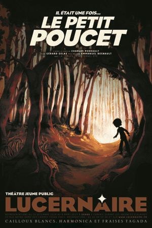 Affiche de Il était une fois... le Petit Poucet