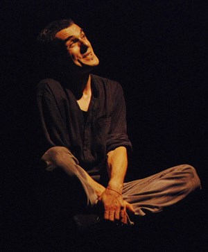 Affiche de La danse des mythes - Rémy Boiron