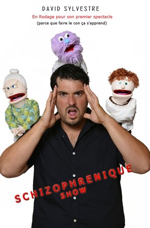 Affiche de David Sylvestre dans Schizophrenique show