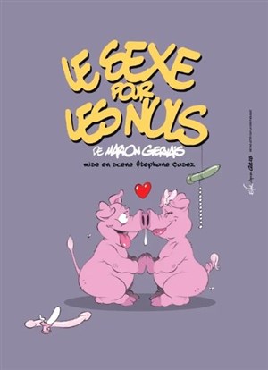 Affiche de Le sexe pour les nuls