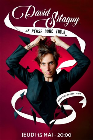 Affiche de David Silaguy dans Je pense donc voila