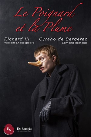 Affiche de Le Poignard et la Plume