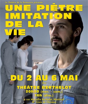 Affiche de Une piètre imitation de la vie